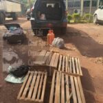 BERTOUA: Des pratiquants de perroquet aux arrêts