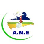 GUIDE DE L&rsquo;ÉLECTEUR EN RCA :  COMMENT RÉUSSIR SON VOTE EN HUIT ÉTAPES