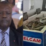MARCHÉ DU POISSON :  Les pleurs de Congelcam pour augmenter ses quotas d&rsquo;importation